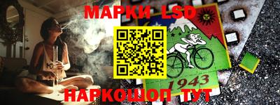 apvp Можга