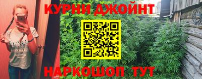 apvp Можга