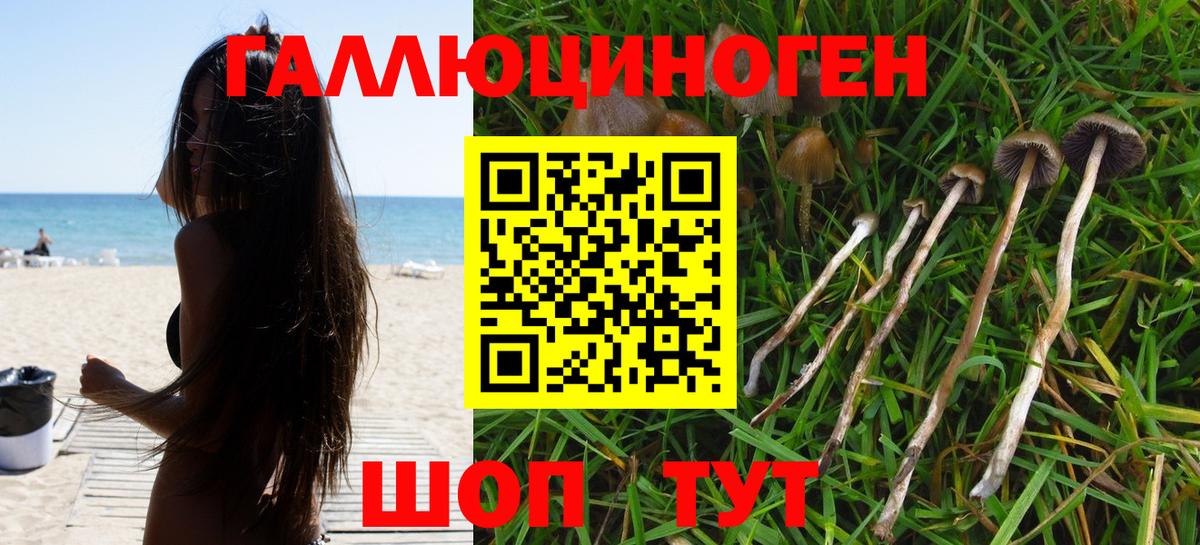 Псилоцибиновые грибы мухоморы Всеволожск